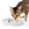 Ceramic Cat Slow Feeder